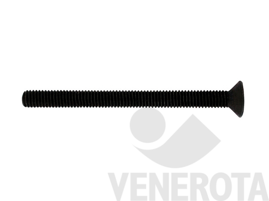 Immagine di Vite metrica Testa Svasata Piana (TSP) con esagono incassato nera