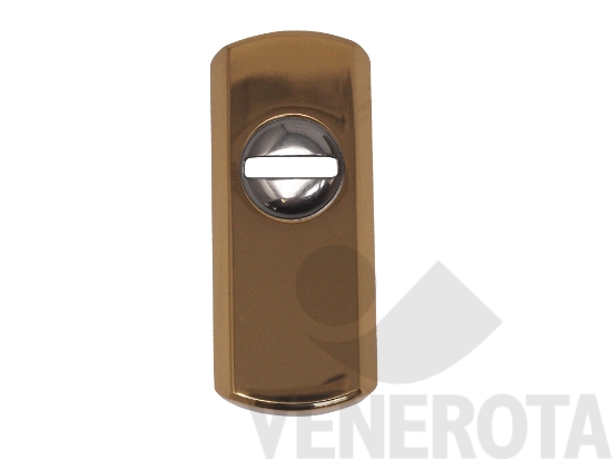 Immagine di Bocchetta di protezione per cilindro Steel Fastup Disec