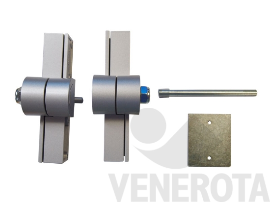 Immagine di Cerniera bilico verticale 175kg 30mm argento Maico U42693